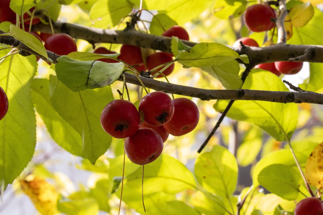 德清最新新闻动态报道速递