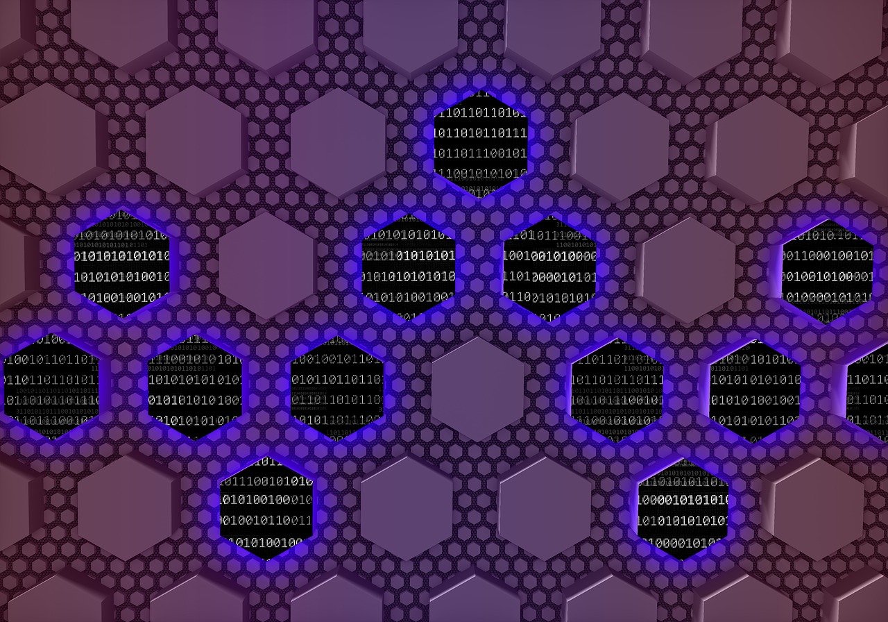 全球视野下的最新时政新闻与社会发展动态解析